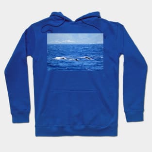 Whale Watching in the Caribbean Hoodie